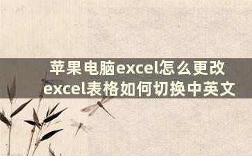 苹果电脑excel怎么更改 excel表格如何切换中英文